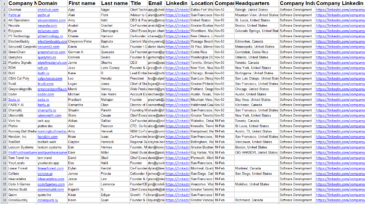 SOFTWARE development Company leads