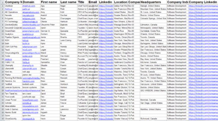 SOFTWARE development Company leads