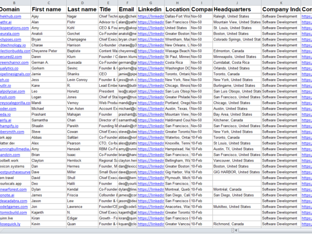 SOFTWARE development Company leads